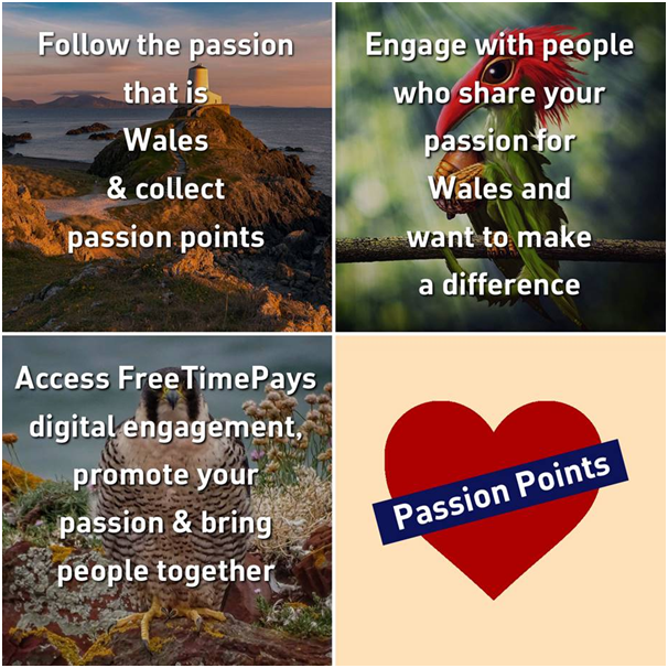 ItsYourWales+-+we%60re+all+about+promoting+people+with+passion+for+Wales!